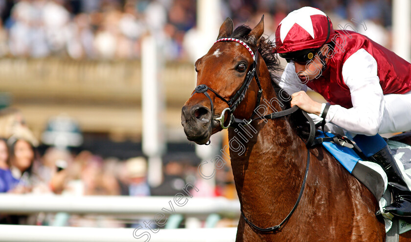 Glorious-Journey-0011 
 GLORIOUS JOURNEY (William Buick) wins The Cazoo Park Stakes
Doncaster 11 Sep 2021 - Pic Steven Cargill / Racingfotos.com