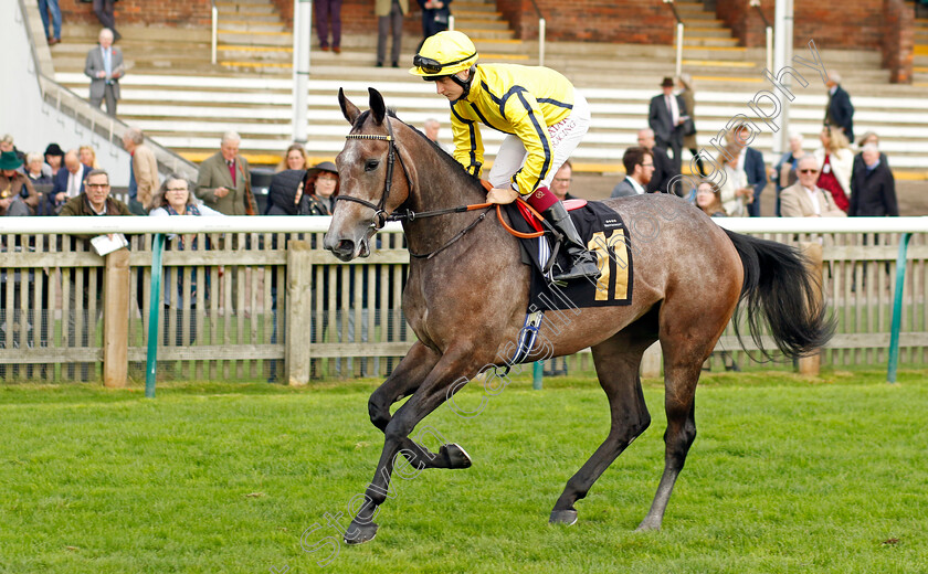 Orchid-Bloom-0005 
 ORCHID BLOOM (Cieren Fallon) winner of The British Stallion Studs EBF Fillies Novice Stakes Div2
Newmarket 29 Oct 2022 - Pic Steven Cargill / Racingfotos.com