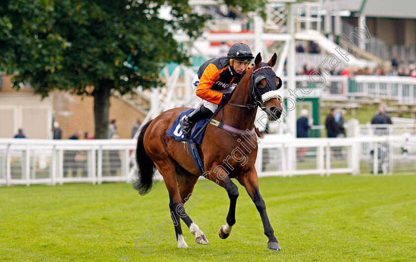 Mahanakhon-Power-0001 
 MAHANAKHON POWER (Frederick Larson)
Yarmouth 1 Jul 2021 - Pic Steven Cargill / Racingfotos.com