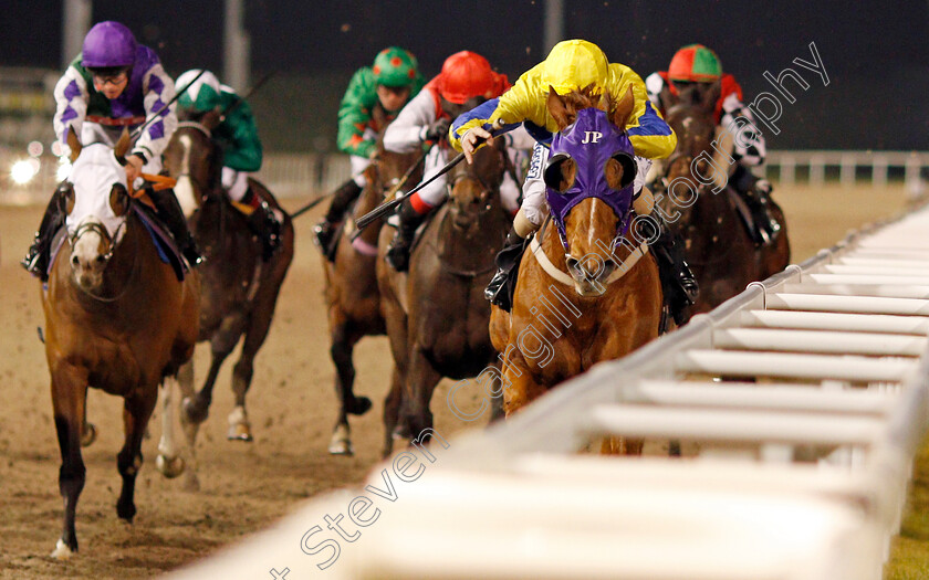 Dyagilev-0002 
 DYAGILEV (David Probert) wins The Book Tickets Online At chelmsfordcityracecourse.com Handicap
Chelmsford 13 Feb 2020 - Pic Steven Cargill / Racingfotos.com