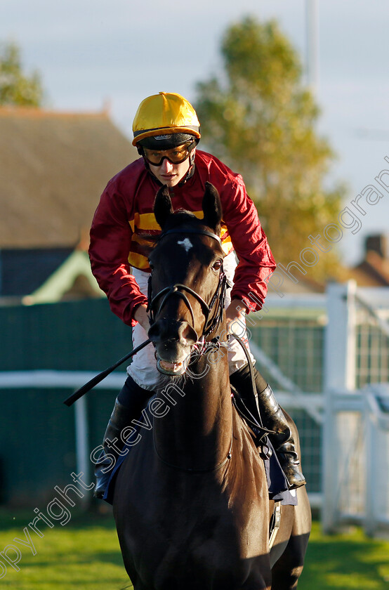 Whats-In-The-Bag-0002 
 WHATS IN THE BAG (Tom Marquand)
Yarmouth 22 Oct 2024 - Pic Steven Cargill / Racingfotos.com