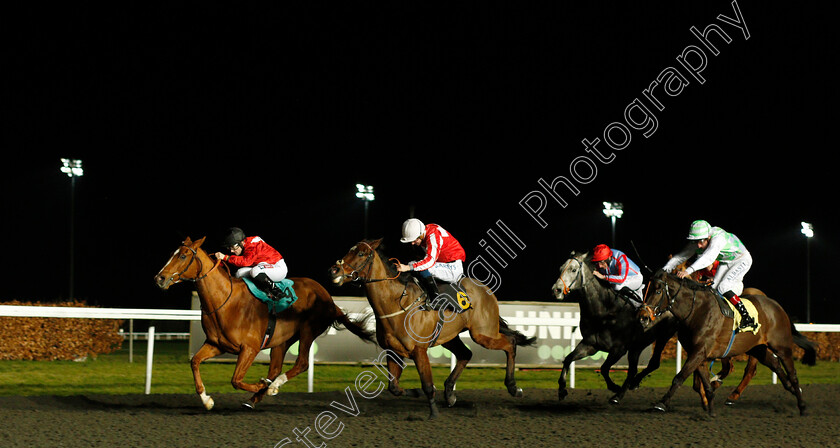 Ginger-Fox-0001 
 GINGER FOX (Hollie Doyle) wins The 32Red Handicap
Kempton 29 Jan 2020 - Pic Steven Cargill / Racingfotos.com