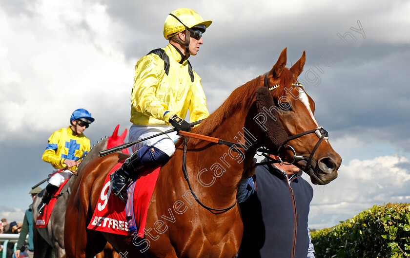 Nakheel-0012 
 NAKHEEL (Jim Crowley) winner of The Betfred Park Hill Stakes
Doncaster 12 Sep 2024 - Pic Steven Cargill / Racingfotos.com