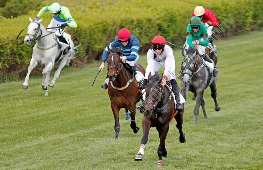 Iranistan-0005 
 IRANISTAN (centre, Darren Nagle) beats GIBRALFARO (2nd left) in The Marcellus Frost Champion Hurdle Percy Warner Park, Nashville 12 May 2018 - Pic Steven Cargill / Racingfotos.com