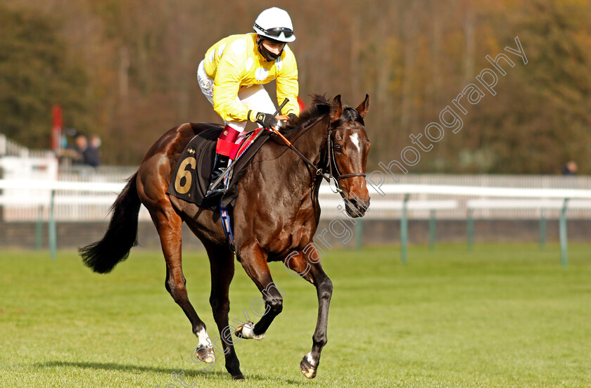 Mrs-Fitzherbert-0001 
 MRS FITZHERBERT (Cieren Fallon)
Nottingham 4 Nov 2020 - Pic Steven Cargill / Racingfotos.com