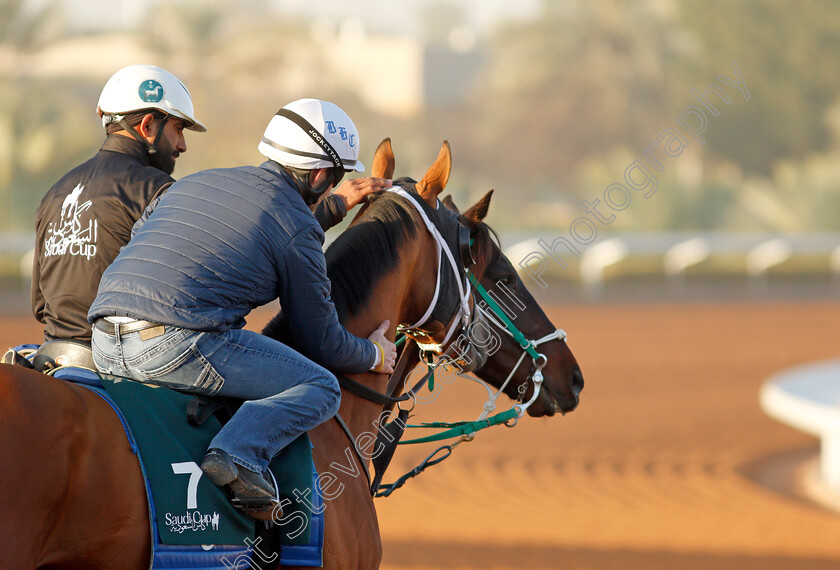 Mandaloun-0005 
 MANDALOUN receiving pats whilst training for The Saudi Cup
King Abdulaziz Racetrack, Riyadh, Saudi Arabia 22 Feb 2022 - Pic Steven Cargill / Racingfotos.com