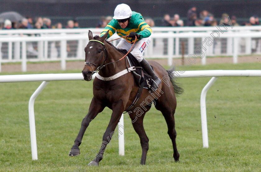 Birchdale-0002 
 BIRCHDALE (Barry Geraghty) wins The Ballymore Novices Hurdle
Cheltenham 26 Jan 2019 - Pic Steven Cargill / Racingfotos.com