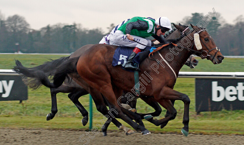 Noble-Behest-0006 
 NOBLE BEHEST (Adam Kirby) wins The Betway Stayers Handicap Lingfield 20 Dec 2017 - Pic Steven Cargill / Racingfotos.com