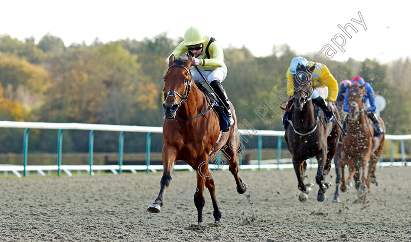 Maamora-0006 
 MAAMORA (James Doyle) wins The Coral EBF Fleur De Lys Fillies Stakes
Lingfield 28 Oct 2021 - Pic Steven Cargill / Racingfotos.com