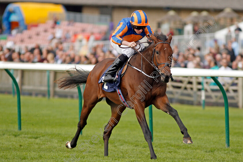 Bye-Bye-Baby-0006 
 BYE BYE BABY (Ryan Moore) wins The Blandford Bloodstock Maiden Fillies Stakes Newmarket 30 Sep 2017 - Pic Steven Cargill / Racingfotos.com