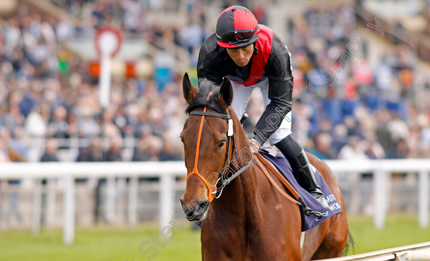 Aristia-0002 
 ARISTIA (Sean Levey) 
York 12 May 2022 - Pic Steven Cargill / Racingfotos.com