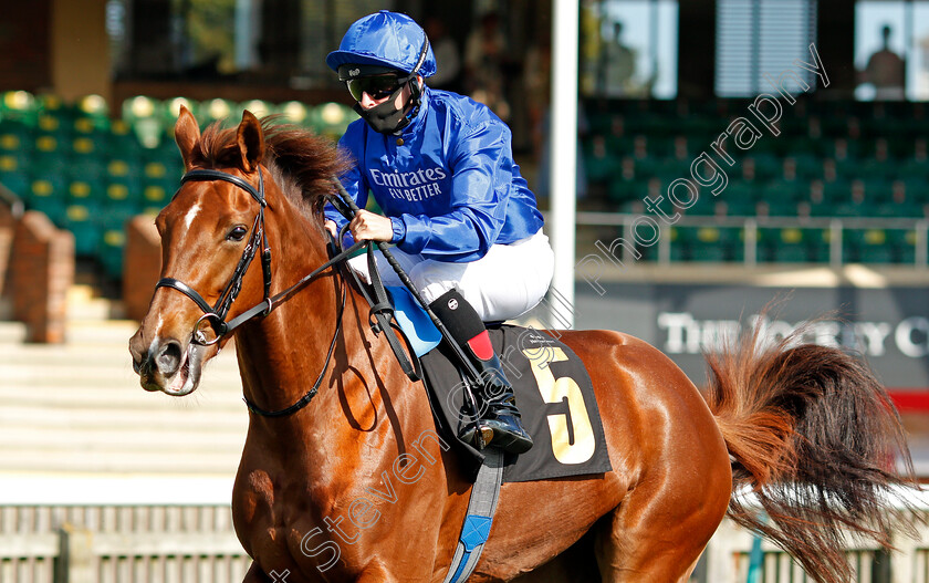 Sayyida-0001 
 SAYYIDA (Brett Doyle)
Newmarket 19 Sep 2020 - Pic Steven Cargill / Racingfotos.com