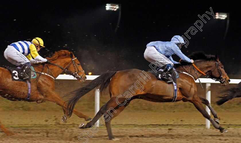 Battle-Of-Marathon-0004 
 BATTLE OF MARATHON (Darragh Keenan) wins The chelmsfordcityracecourse.com Handicap
Chelmsford 26 Nov 2020 - Pic Steven Cargill / Racingfotos.com