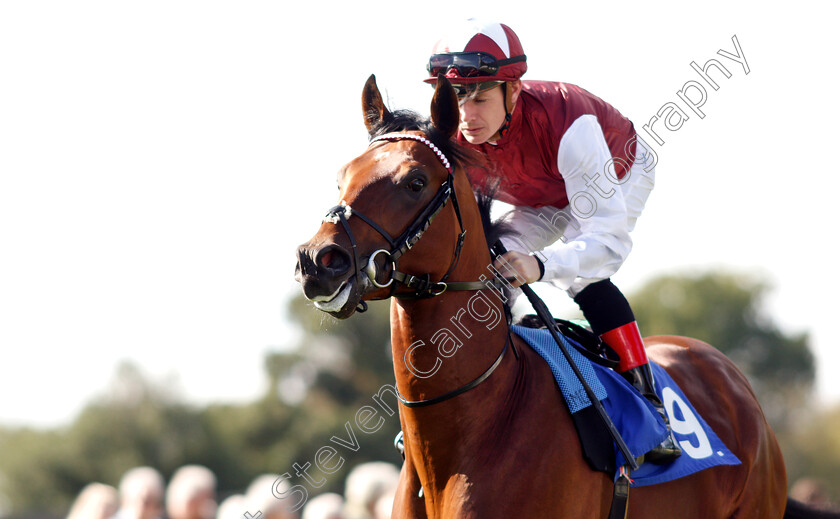 Murray-River-0001 
 MURRAY RIVER (Kieran O'Neill)
Salisbury 3 Oct 2018 - Pic Steven Cargill / Racingfotos.com