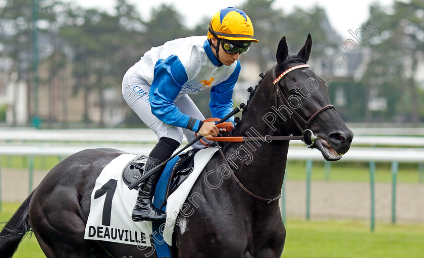 Kalet-0002 
 KALET (E Crublet)
Deauville 3 Aug 2024 - Pic Steven Cargill / Racingfotos.com