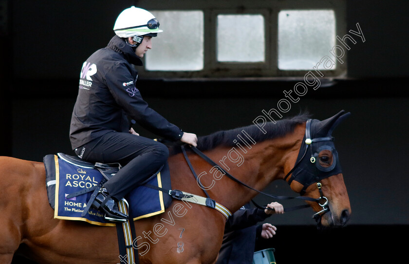 Home-Affairs-0003 
 HOME AFFAIRS - Australia to Ascot, preparing for the Royal Meeting.
Ascot 10 Jun 2022 - Pic Steven Cargill / Racingfotos.com