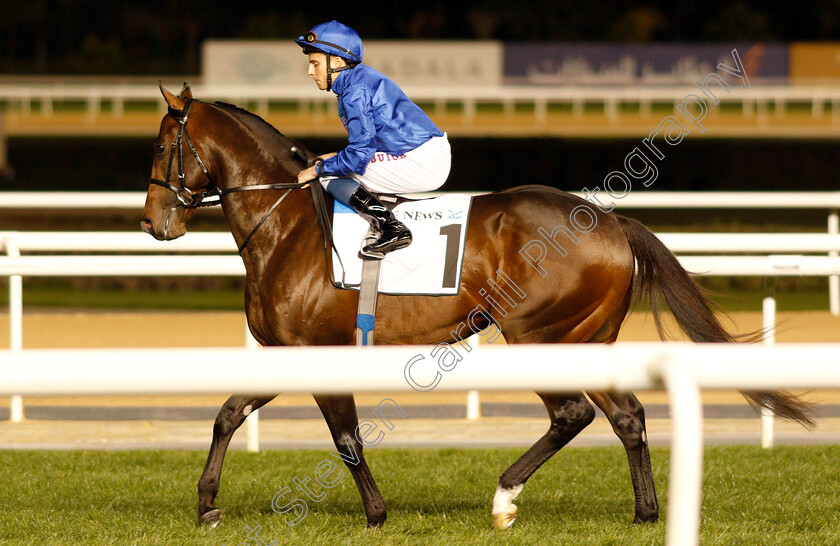 Blue-Point-0001 
 BLUE POINT (William Buick) before winning The Meydan Sprint
Meydan 14 Feb 2019 - Pic Steven Cargill / Racingfotos.com