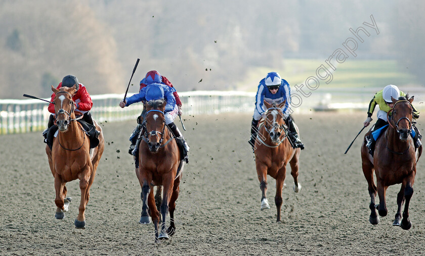 Forest-Of-Dean-0003 
 FOREST OF DEAN (2nd left, Robert Havlin) beats FATHER OF JAZZ (right) and FELIX (left) in The Betway Winter Derby Stakes
Lingfield 27 Feb 2021 - Pic Steven Cargill / Racingfotos.com