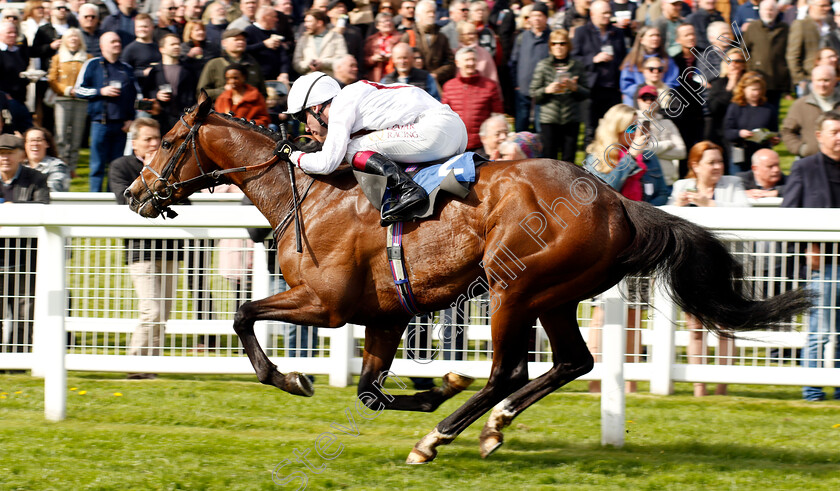 Kadovar-0005 
 KADOVAR (Oisin Murphy) wins The Stephen Wallis Novice Stakes
Epsom 25 Apr 2023 - Pic Steven Cargill / Racingfotos.com