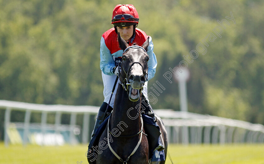 Greg-The-Great-0001 
 GREG THE GREAT (Georgia Dobie) winner of The Cazoo Handicap
Chepstow 27 May 2022 - Pic Steven Cargill / Racingfotos.com