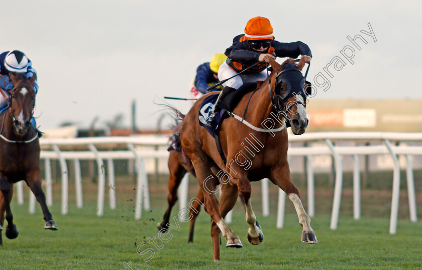 Elsie-Violet-0005 
 ELSIE VIOLET (Selma Grage) wins The Final Furlong Podcast Handicap
Yarmouth 25 Aug 2020 - Pic Steven Cargill / Racingfotos.com