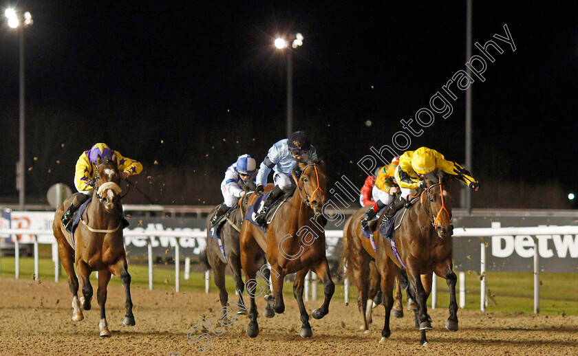 Muay-Thai-0002 
 MUAY THAI (right, Rossa Ryan) beats HOST (centre) in The Ladbrokes Watch Racing Online For Free Handicap
Wolverhampton 11 Jan 2021 - Pic Steven Cargill / Racingfotos.com