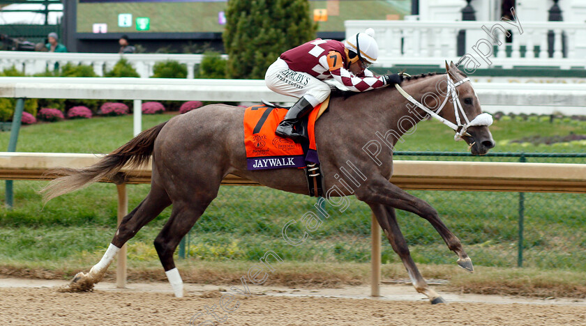 Jaywalk-0002 
 JAYWALK (Joel Rosario) wins The Breeders' Cup Juvenile Fillies
Churchill Downs 2 Nov 2018 - Pic Steven Cargill / Racingfotos.com