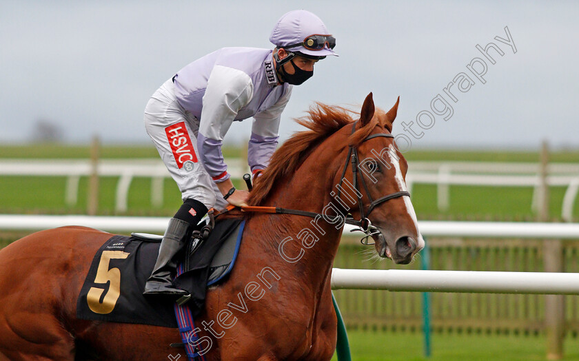 Mascat-0003 
 MASCAT (Tyler Heard)
Newmarket 30 Oct 2020 - Pic Steven Cargill / Racingfotos.com