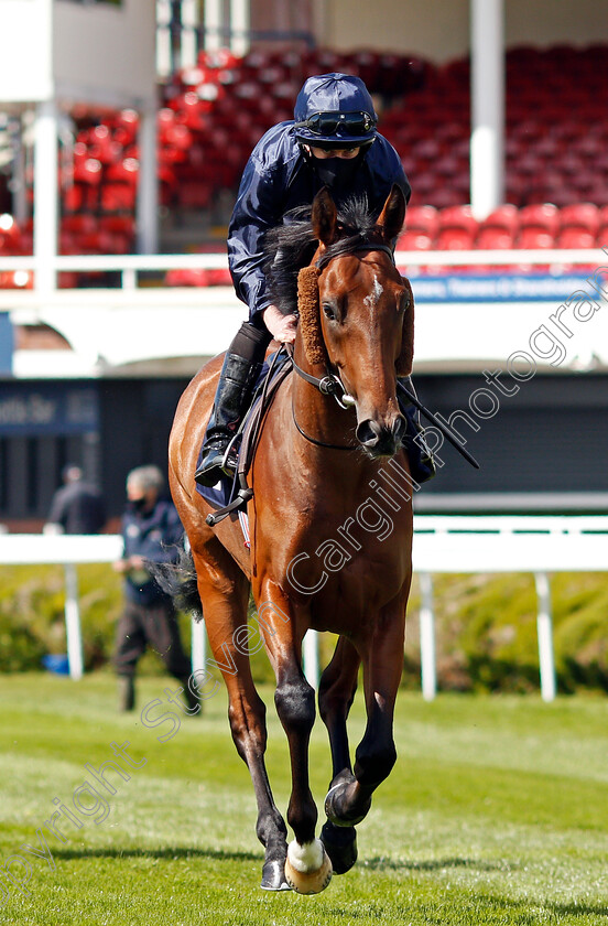 Sandhurst-0001 
 SANDHURST (Ryan Moore)
Chester 5 May 2021 - Pic Steven Cargill / Racingfotos.com