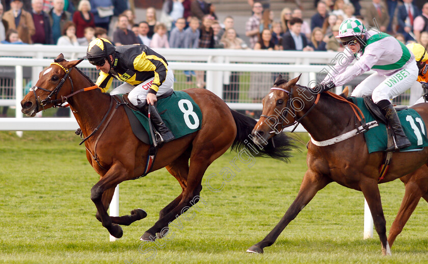 Mystic-Dreamer-0004 
 MYSTIC DREAMER (Leighton Aspell) beats FLORESSA (right) in The Spreadex Sports Betting Mares Standard Open National Hunt Flat Race
Cheltenham 18 Apr 2019 - Pic Steven Cargill / Racingfotos.com