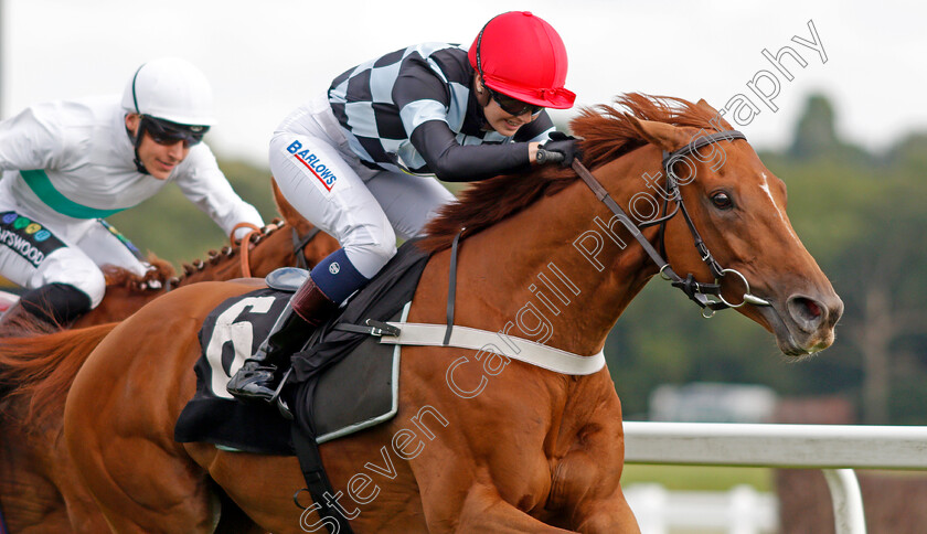 Torcello-0005 
 TORCELLO (Elisha Whittington) wins The Energy Check Handicap Div2
Newbury 17 Aug 2019 - Pic Steven Cargill / Racingfotos.com