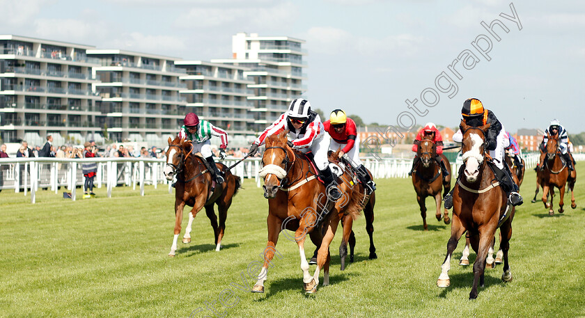 Windsorlot-0001 
 WINDSORLOT (left, Sarah Bowen) beats LOVING YOUR WORK (right) in The Wiser Academy Amateur Riders Handicap
Newbury 14 Jun 2018 - Pic Steven Cargill / Racingfotos.com