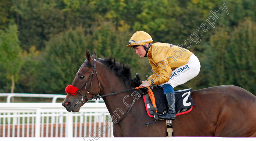 Balticus-0001 
 BALTICUS (Sam Hitchcott)
Chelmsford 3 Oct 2024 - Pic Steven Cargill / Racingfotos.com