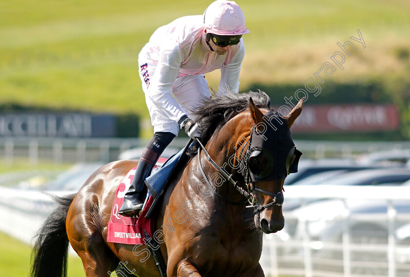 Sweet-William-0001 
 SWEET WILLIAM (Robert Havlin)
Goodwood 30 Jul 2024 - Pic Steven Cargill / Racingfotos.com