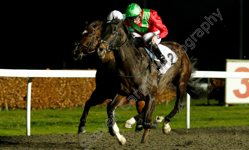 Holy-Heart-0001 
 HOLY HEART (Robert Havlin) wins The 100% Profit Boost At 32redsport.com Novice Stakes
Kempton 12 Dec 2018 - Pic Steven Cargill / Racingfotos.com