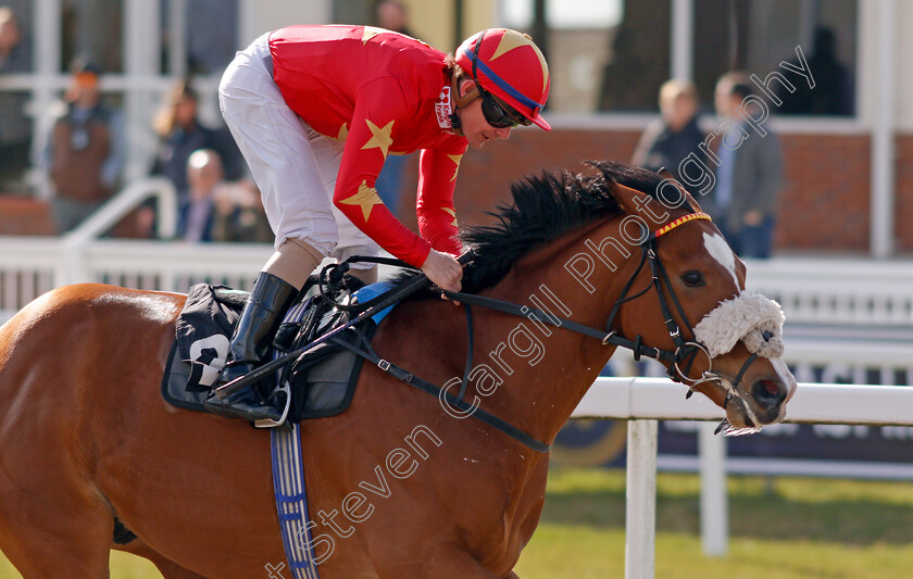 Mashaan-0004 
 MASHAAN (Kieran O'Neill) wins The Inaugural LB Group Handicap
Chelmsford 31 Mar 2022 - Pic Steven Cargill / Racingfotos.com