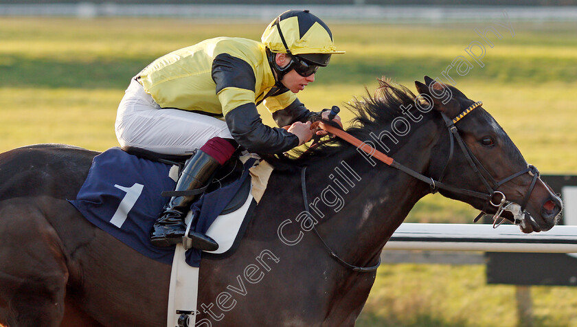 Island-Hideaway-0004 
 ISLAND HIDEAWAY (George Rooke) wins The Ladbrokes Where The Nation Plays Handicap
Lingfield 10 Jan 2020 - Pic Steven Cargill / Racingfotos.com