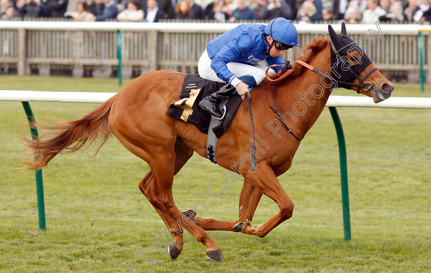 Chasing-Dreams-0006 
 CHASING DREAMS (William Buick) wins The bet365 British EBF Maiden Fillies Stakes
Newmarket 16 Apr 2019 - Pic Steven Cargill / Racingfotos.com