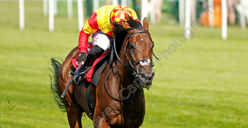 Savvy-Victory-0004 
 SAVVY VICTORY (Tom Marquand) wins The Davies Insurance Solutions Gala Stakes
Sandown 7 Jul 2023 - Pic Steven Cargill / Racingfotos.com