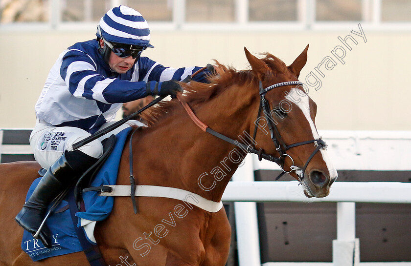 Celtic-Dino-0004 
 CELTIC DINO (Dylan Johnston) wins The Troy Asset Management Introductory Hurdle
Ascot 22 Nov 2024 - Pic Steven Cargill / Racingfotos.com