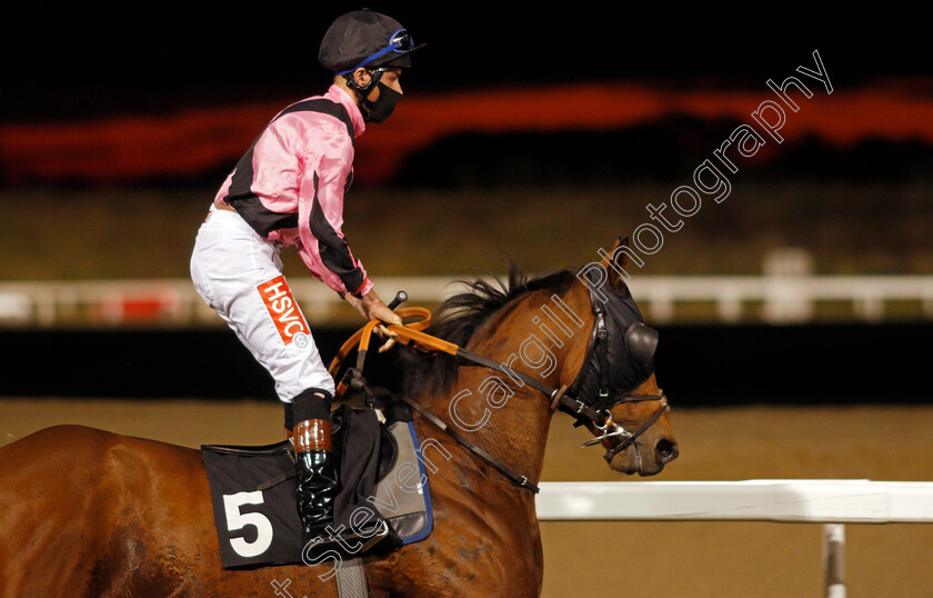 Top-Breeze-0004 
 TOP BREEZE (Tyler Heard)
Chelmsford 8 Oct 2020 - Pic Steven Cargill / Racingfotos.com