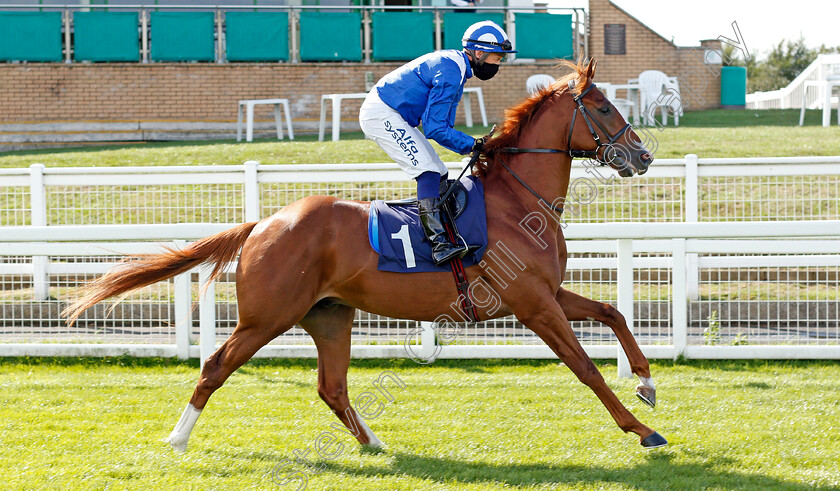 Ajrad-0001 
 AJRAD (Jim Crowley)
Yarmouth 25 Aug 2020 - Pic Steven Cargill / Racingfotos.com