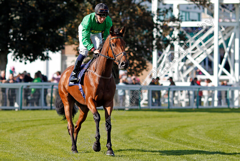 Eynhallow-0001 
 EYNHALLOW (Kieran Shoemark) Yarmouth 19 Sep 2017 - Pic Steven Cargill / Racingfotos.com