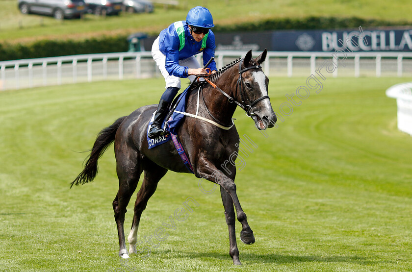 Attila-The-Honey-0001 
 ATTILA THE HONEY (William Buick)
Goodwood 31 Jul 2024 - Pic Steven Cargill / Racingfotos.com