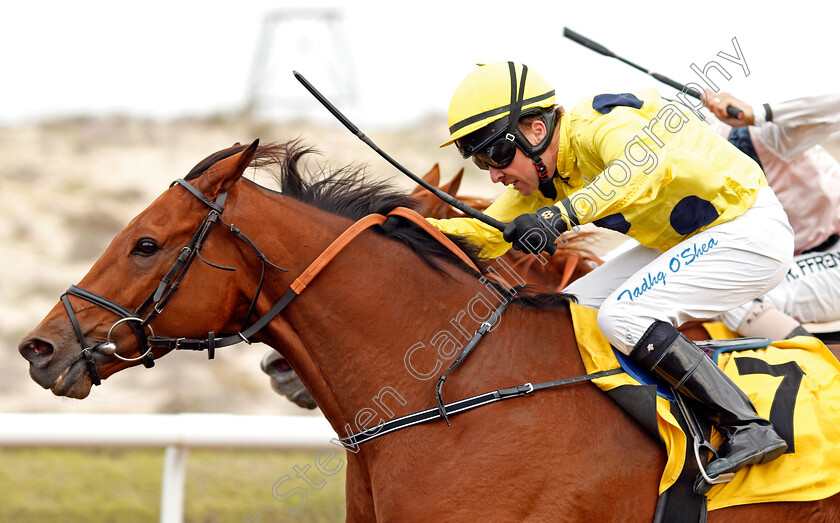 Hello-0005 
 HELLO (Tadhg O'Shea) wins The British University In Dubai Handicap
Jebel Ali 24 Jan 2020 - Pic Steven Cargill / Racingfotos.com