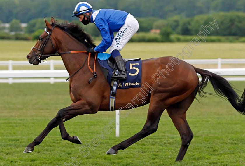 Hukum-0002 
 HUKUM (Jim Crowley)
Ascot 19 Jun 2021 - Pic Steven Cargill / Racingfotos.com