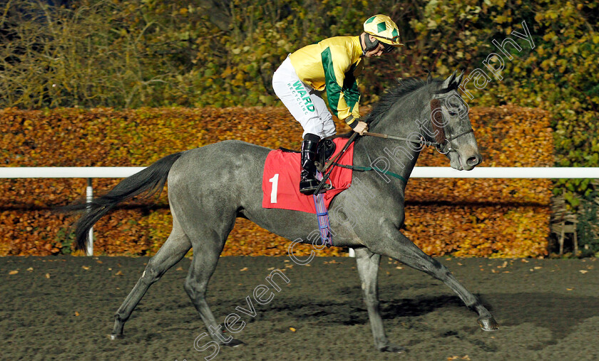 Rebel-Redemption-0001 
 REBEL REDEMPTION (Jason Hart)
Kempton 20 Nov 2019 - Pic Steven Cargill / Racingfotos.com