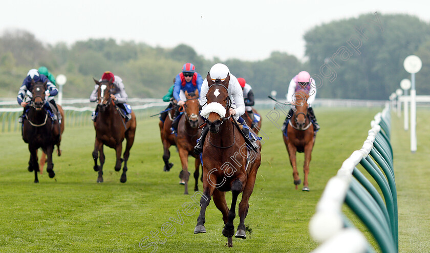 I m-Available-0002 
 I'M AVAILABLE (Oisin Murphy) wins The #Goracinggreen Fillies Handicap
Nottingham 30 Apr 2019 - Pic Steven Cargill / Racingfotos.com