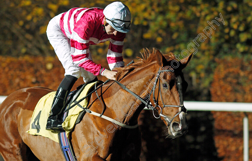 Casa-Loupi-0001 
 CASA LOUPI (Hector Crouch)
Kempton 27 Nov 2019 - Pic Steven Cargill / Racingfotos.com