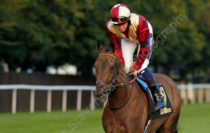 Bint-Al-Daar-0007 
 BINT AL DAAR (Daniel Muscutt) winner of The Every Race Live On Racing TV Handicap
Newmarket 4 Aug 2023 - Pic Steven Cargill / Racingfotos.com